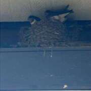 ヒメ日記 2025/07/24 14:10 投稿 じゅり 渋谷角海老