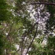 ヒメ日記 2025/10/31 13:20 投稿 じゅり 渋谷角海老