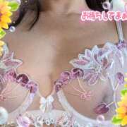 ヒメ日記 2025/06/29 12:30 投稿 しずく 成田人妻講座