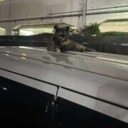 ヒメ日記 2025/07/01 08:15 投稿 ほのか PINK PLANET