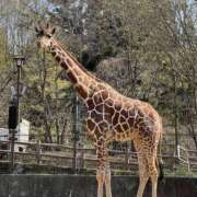 ヒメ日記 2025/08/21 07:35 投稿 ほのか PINK PLANET