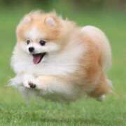 ヒメ日記 2025/10/20 06:55 投稿 ほのか PINK PLANET