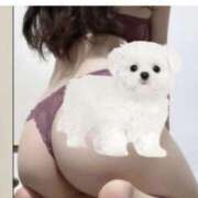 ヒメ日記 2025/11/06 07:55 投稿 ほのか PINK PLANET