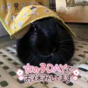 ヒメ日記 2025/02/08 22:07 投稿 しおん 千葉松戸ちゃんこ