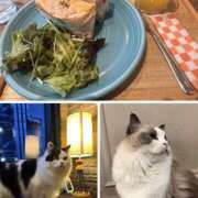 ヒメ日記 2025/03/11 22:53 投稿 しおん 千葉松戸ちゃんこ