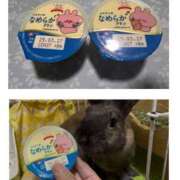 ヒメ日記 2025/03/20 22:33 投稿 しおん 千葉松戸ちゃんこ