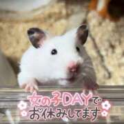 ヒメ日記 2025/03/30 19:37 投稿 しおん 千葉松戸ちゃんこ