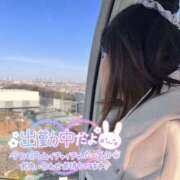 ヒメ日記 2025/04/07 14:04 投稿 しおん 千葉松戸ちゃんこ