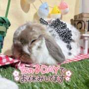 ヒメ日記 2025/04/15 23:44 投稿 しおん 千葉松戸ちゃんこ