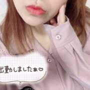 ヒメ日記 2025/04/29 13:30 投稿 しおん 千葉松戸ちゃんこ