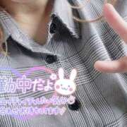 ヒメ日記 2025/05/09 13:28 投稿 しおん 千葉松戸ちゃんこ