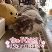 ヒメ日記 2025/05/16 18:06 投稿 しおん 千葉松戸ちゃんこ