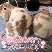 ヒメ日記 2025/05/30 12:13 投稿 しおん 千葉松戸ちゃんこ