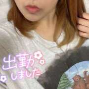 ヒメ日記 2025/06/05 16:44 投稿 しおん 千葉松戸ちゃんこ