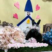 ヒメ日記 2025/06/28 10:45 投稿 しおん 千葉松戸ちゃんこ