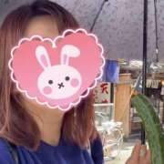 ヒメ日記 2025/07/08 13:17 投稿 しおん 千葉松戸ちゃんこ