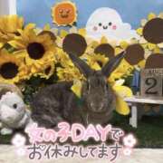 ヒメ日記 2025/08/28 21:26 投稿 しおん 千葉松戸ちゃんこ