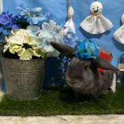 ヒメ日記 2025/09/03 11:27 投稿 しおん 千葉松戸ちゃんこ