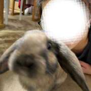 ヒメ日記 2025/09/04 18:24 投稿 しおん 千葉松戸ちゃんこ