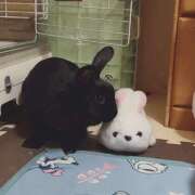 ヒメ日記 2025/09/09 20:02 投稿 しおん 千葉松戸ちゃんこ