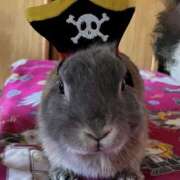 ヒメ日記 2025/09/26 20:06 投稿 しおん 千葉松戸ちゃんこ