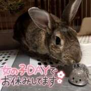 ヒメ日記 2025/10/06 23:51 投稿 しおん 千葉松戸ちゃんこ