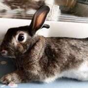 ヒメ日記 2025/10/22 16:45 投稿 しおん 千葉松戸ちゃんこ