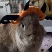 ヒメ日記 2025/10/31 21:38 投稿 しおん 千葉松戸ちゃんこ