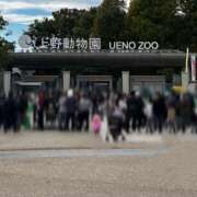 ヒメ日記 2025/11/01 22:50 投稿 しおん 千葉松戸ちゃんこ