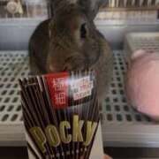 ヒメ日記 2025/11/12 23:58 投稿 しおん 千葉松戸ちゃんこ