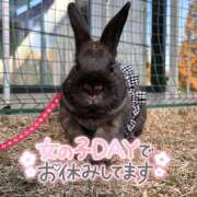 ヒメ日記 2025/11/26 15:45 投稿 しおん 千葉松戸ちゃんこ