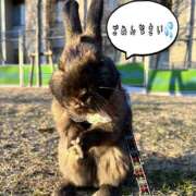 ヒメ日記 2025/12/24 12:23 投稿 しおん 千葉松戸ちゃんこ