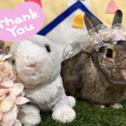 ヒメ日記 2026/01/05 23:20 投稿 しおん 千葉松戸ちゃんこ