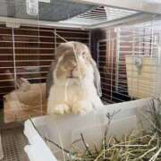 ヒメ日記 2026/01/09 09:25 投稿 しおん 千葉松戸ちゃんこ