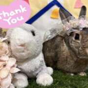 ヒメ日記 2026/01/09 17:45 投稿 しおん 千葉松戸ちゃんこ