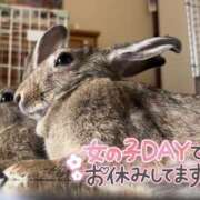 ヒメ日記 2026/01/10 12:55 投稿 しおん 千葉松戸ちゃんこ