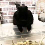 ヒメ日記 2026/01/24 22:52 投稿 しおん 千葉松戸ちゃんこ