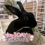 ヒメ日記 2026/02/06 09:50 投稿 しおん 千葉松戸ちゃんこ