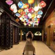 ヒメ日記 2026/02/24 15:51 投稿 しおん 千葉松戸ちゃんこ