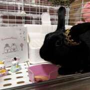 ヒメ日記 2026/03/03 23:53 投稿 しおん 千葉松戸ちゃんこ