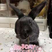 ヒメ日記 2026/03/04 19:53 投稿 しおん 千葉松戸ちゃんこ