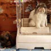 ヒメ日記 2026/03/06 14:59 投稿 しおん 千葉松戸ちゃんこ