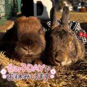 ヒメ日記 2026/03/23 16:11 投稿 しおん 千葉松戸ちゃんこ