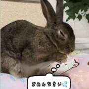 ヒメ日記 2026/04/06 10:29 投稿 しおん 千葉松戸ちゃんこ