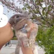 ヒメ日記 2026/04/08 22:59 投稿 しおん 千葉松戸ちゃんこ