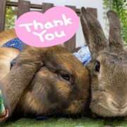 しおん お礼日記 千葉松戸ちゃんこ