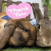 しおん お礼日記 千葉松戸ちゃんこ