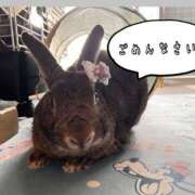 ヒメ日記 2026/05/21 18:16 投稿 しおん 千葉松戸ちゃんこ
