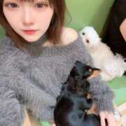 ヒメ日記 2025/10/17 23:45 投稿 りの 舐めたくてグループ～君とサプライズ学園～越谷校