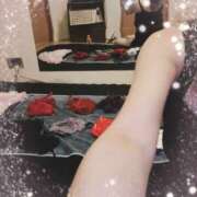 ヒメ日記 2024/12/22 13:18 投稿 三田りょうこ プランタン大塚